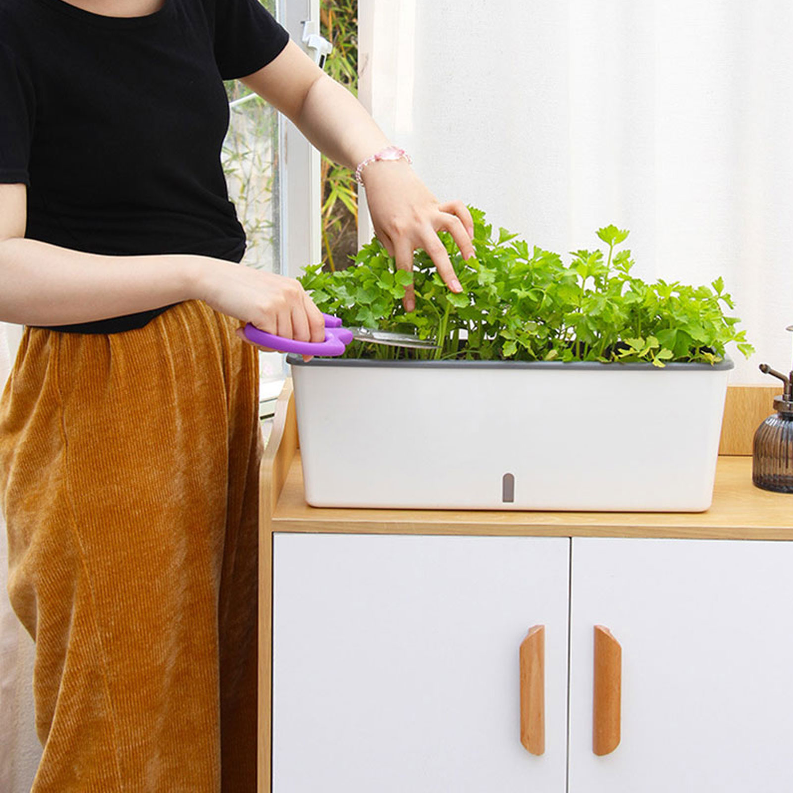 Self-Watering Planter Pots wit - Self Watering Insert recension och pris