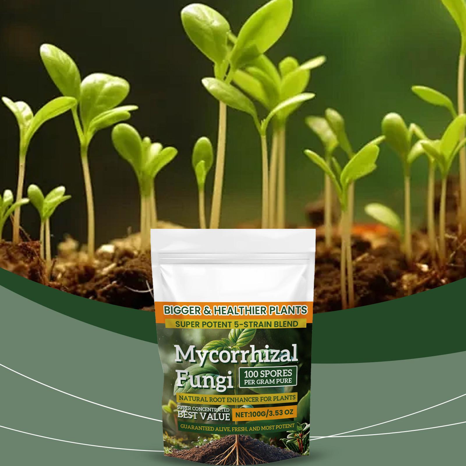 100g Plant Nutrient Powder Pla - Rooting Hormone Powder recension och pris